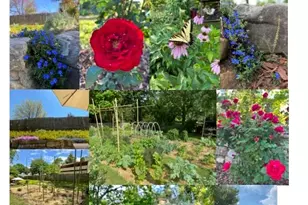 52 East St, Asheville, NC 28803 - Photo 47