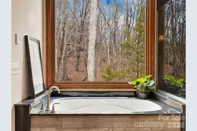 184 Deep Woods Lane, Saluda, NC 28773 - Photo 21