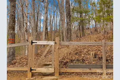 184 Deep Woods Lane, Saluda, NC 28773 - Photo 41