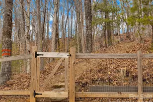 184 Deep Woods Ln, Saluda, NC 28773 - Photo 41