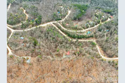 184 Deep Woods Lane, Saluda, NC 28773 - Photo 43