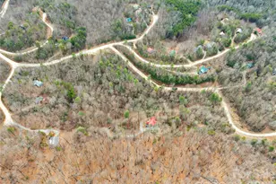 184 Deep Woods Ln, Saluda, NC 28773 - Photo 43