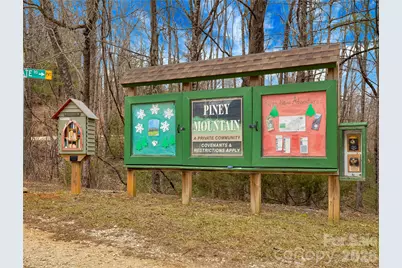 184 Deep Woods Lane, Saluda, NC 28773 - Photo 45