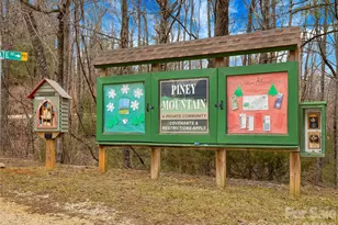 184 Deep Woods Ln, Saluda, NC 28773 - Photo 45