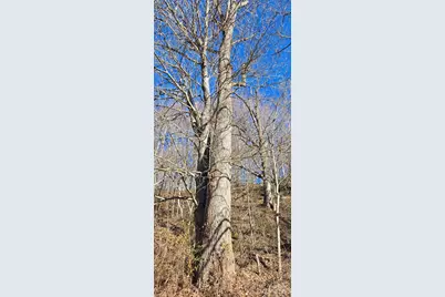 Lot 1 Turtle Rock Lane, Waynesville, NC 28785 - Photo 13