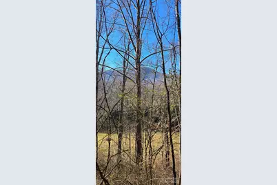 Lot 1 Turtle Rock Lane, Waynesville, NC 28785 - Photo 11