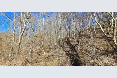 Lot 1 Turtle Rock Lane, Waynesville, NC 28785 - Photo 27