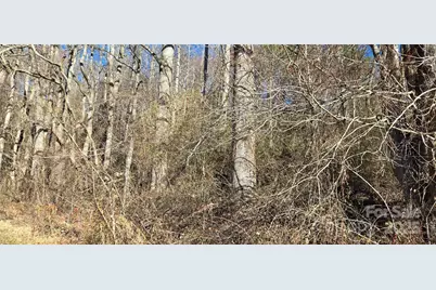 Lot 1 Turtle Rock Lane, Waynesville, NC 28785 - Photo 17