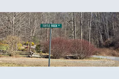 Lot 1 Turtle Rock Lane, Waynesville, NC 28785 - Photo 25