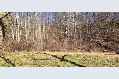 Lot 1 Turtle Rock Lane, Waynesville, NC 28785 - Photo 19