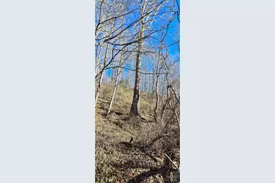 Lot 1 Turtle Rock Lane, Waynesville, NC 28785 - Photo 21
