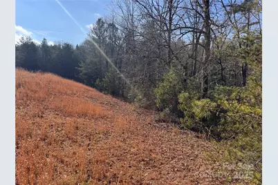 00 Virginia Ridge #57, Connelly Springs, NC 28612 - Photo 9