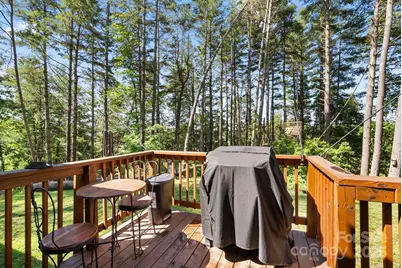 102 Kiwassa Lane, Hendersonville, NC 28792 - Photo 27