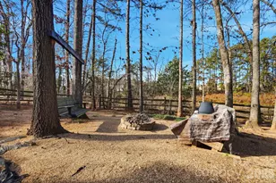 406 Tysons Forest Dr, Rock Hill, SC 29732 - Photo 39