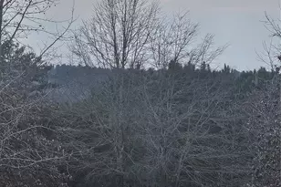 11249 Island View Ln, Lancaster, SC 29720 - Photo 27