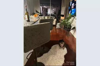 210 N Church Street, Charlotte, NC 28202 - Photo 5