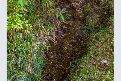 10 Warbler Drive, Fletcher, NC 28732 - Photo 47