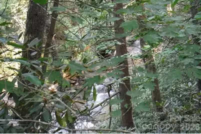 Lot 19 Ostin Creek Trail #19, Mill Spring, NC 28756 - Photo 21