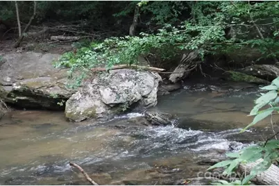 Lot 19 Ostin Creek Trail #19, Mill Spring, NC 28756 - Photo 19