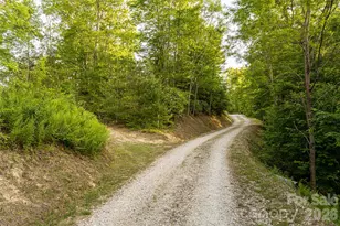 532 Tsali Crossing N, Bryson City, NC 28713 - Photo 45
