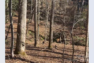 Lot 52 High Hemlock Trail #52, Brevard, NC 28712 - Photo 9