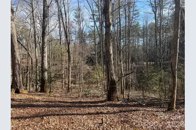 Lot 52 High Hemlock Trail #52, Brevard, NC 28712 - Photo 5