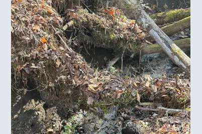 Lot 52 High Hemlock Trail #52, Brevard, NC 28712 - Photo 11