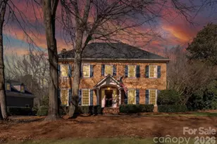 9800 Chatham Oaks Trail, Charlotte, NC 28210 - Photo 37