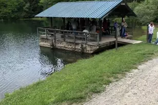 771 Sally Gap Rd, Old Fort, NC 28762 - Photo 37