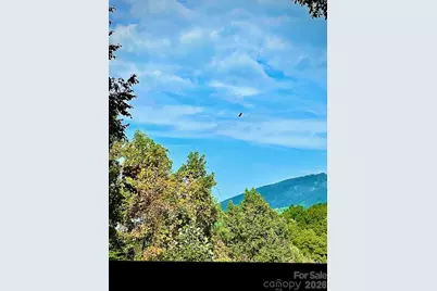 771 Sally Gap Road, Old Fort, NC 28762 - Photo 43