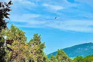 771 Sally Gap Rd, Old Fort, NC 28762 - Photo 43