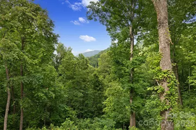 771 Sally Gap Road, Old Fort, NC 28762 - Photo 19