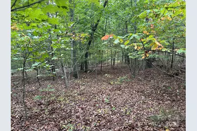 333 Mossy Oak Trail #164, Nebo, NC 28761 - Photo 5