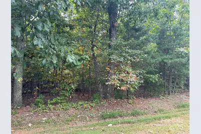 333 Mossy Oak Trail #164, Nebo, NC 28761 - Photo 11