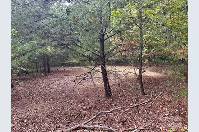 333 Mossy Oak Trail #164, Nebo, NC 28761 - Photo 7