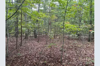 333 Mossy Oak Trail #164, Nebo, NC 28761 - Photo 3