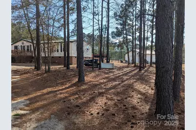 482 Pine Road, Jefferson, SC 29718 - Photo 3