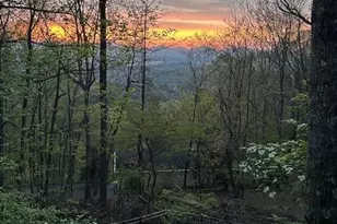 11 Poplar Dr, Mills River, NC 28759 - Photo 3