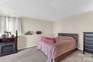 11 Poplar Dr, Mills River, NC 28759 - Photo 21