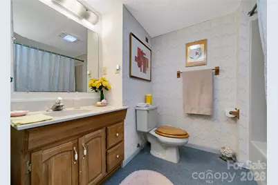 177 Walelu Court, Brevard, NC 28712 - Photo 19