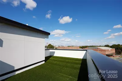 1302 E 10th Street E, Charlotte, NC 28204 - Photo 21