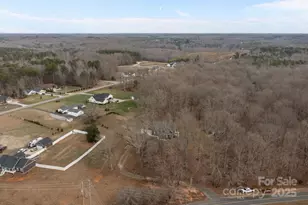 5321 Vesuvius Furnace Rd, Iron Station, NC 28080 - Photo 47