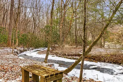 131 Trillium Glen Drive, Mars Hill, NC 28754 - Photo 47