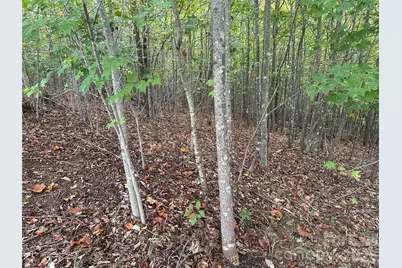 311 Scenic Vista Drive #254, Nebo, NC 28761 - Photo 3