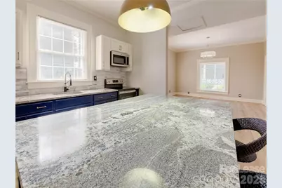 1100 Pegram Street, Charlotte, NC 28205 - Photo 31