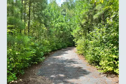 Lot 7 & 8 Sc Hwy 215 South, Jenkinsville, SC 29065 - Photo 9