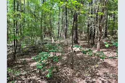 Lot 7 & 8 Sc Hwy 215 South, Jenkinsville, SC 29065 - Photo 17