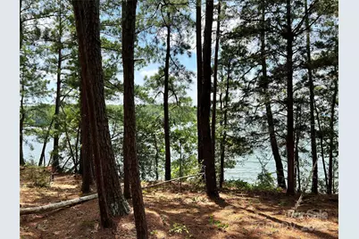 Lot 7 & 8 Sc Hwy 215 South, Jenkinsville, SC 29065 - Photo 21