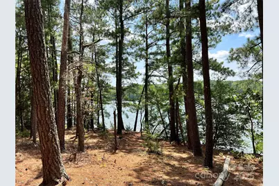 Lot 7 & 8 Sc Hwy 215 South, Jenkinsville, SC 29065 - Photo 23