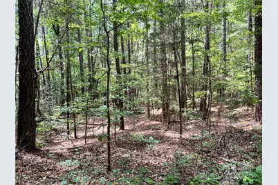 Lot 7 & 8 Sc Hwy 215 South, Jenkinsville, SC 29065 - Photo 13